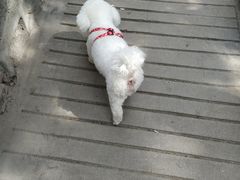 -西安市纺织公园