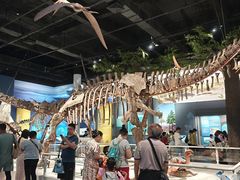 -国家自然博物馆