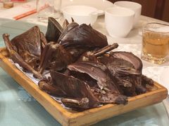 -食家鸽园
