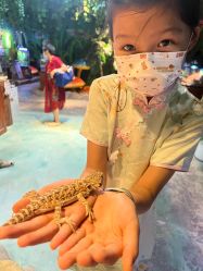 -酷嗒动物文化乐园(cutezoo西溪乐天城店)