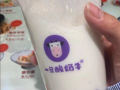 暖暖奶香燕麦酸奶雪顶-一只酸奶牛(欧亚大观店)