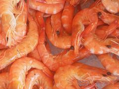 -郑州富力万达文华酒店·云端美食汇自助餐厅