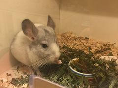 -龙猫仔乐园(惠福东路店)