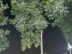 -最心疆拌面·抓饭·烧烤