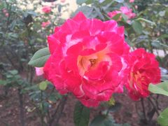 -人民公园(罗湖区)