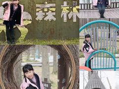 -黄海国家森林公园