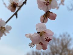 -三里河公园