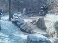 -北京西山国家森林公园