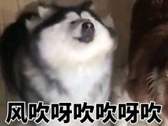 -西安五号米皮