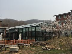 -北马山庄植趣咖啡