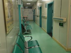 -北京观赏动物医院·24小时大型综合·猫专科·异宠专科