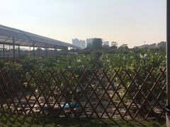 -迪茵湖田家舍生态农场