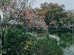 -无锡蠡湖国家湿地公园-蠡园