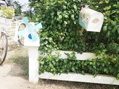 -黄色小屋