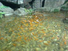 图像0051-蠡湖中央公园