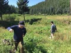 -塞罕坝国家级自然保护区