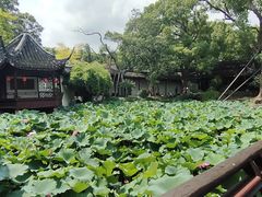 -上海醉白池公园