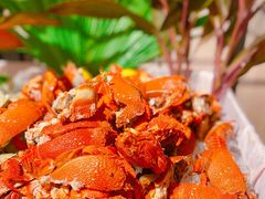 -海口绿发希尔顿酒店-田园汇自助餐·三文鱼·海鲜