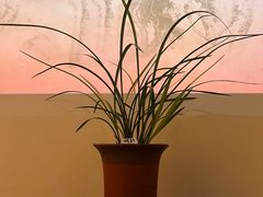 -成都杜甫草堂博物馆