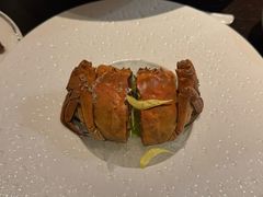 -甄御•海鲜新青岛菜(麦岛店)