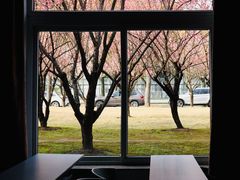 -上海财经大学(国定路校区)