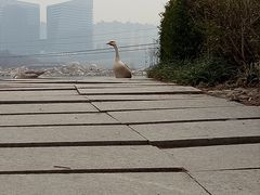 -西安曲江寒窑遗址公园