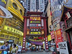 -黑色经典臭豆腐·湖南特产(坡子街店)