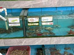 -考记泥焗鸡农庄·海鲜(北洛秘境店)