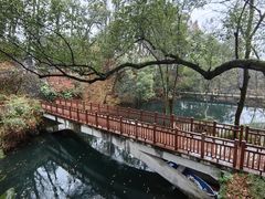 -之江大学-旧址