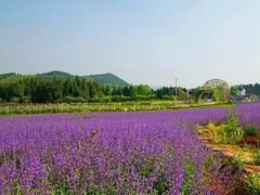 -中国香山·寿香谷