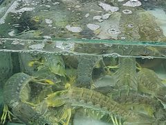 -班赞海鲜市场