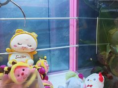 -CIAO·团建聚餐·生日派对轰趴馆(福田店)