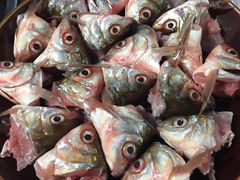 -章记正宗南岗鱼蛋火锅