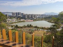 -飞凤山奥体公园