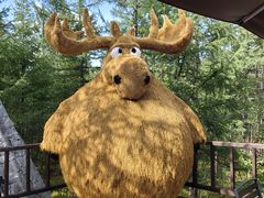 -莫尔道嘎国家森林公园