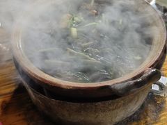 -霞姐屯昌枫木香草鸭店(海螺店)