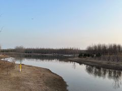 -东郊湿地公园