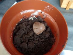 -天津波士信达奔驰4S店(卫津南路店)