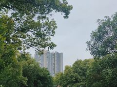 -沙市市中山公园