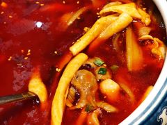 -红辣椒·川菜·火锅(科华路店)