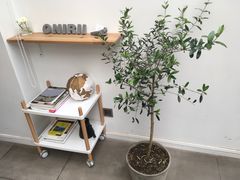 -Onirii Coffee(长乐路店)