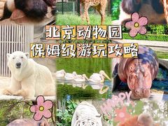 -北京动物园