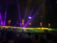 -灵玲国际马戏城