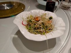 美味冰草沙拉-粤麓轩餐厅(中信泰富广场店)
