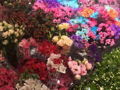 -宝鸡东道花鸟鱼虫市场(吉利花园商场店)