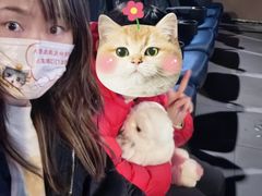 -SFC上影百联影城(八佰伴IMAX店)