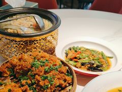 -新概念来凤鱼(璧山店)