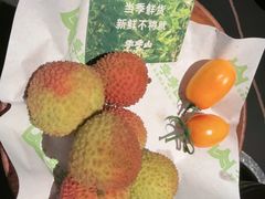 -季季山·云南野生菌火锅(上海首店)