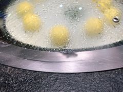 -挂雪铁锅炖大鹅