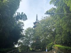 -上海佘山国家森林公园西佘山园